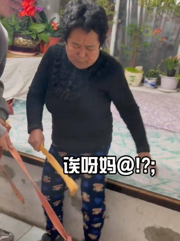 千万网红田姥姥外孙疑家暴劈腿事件深度解析