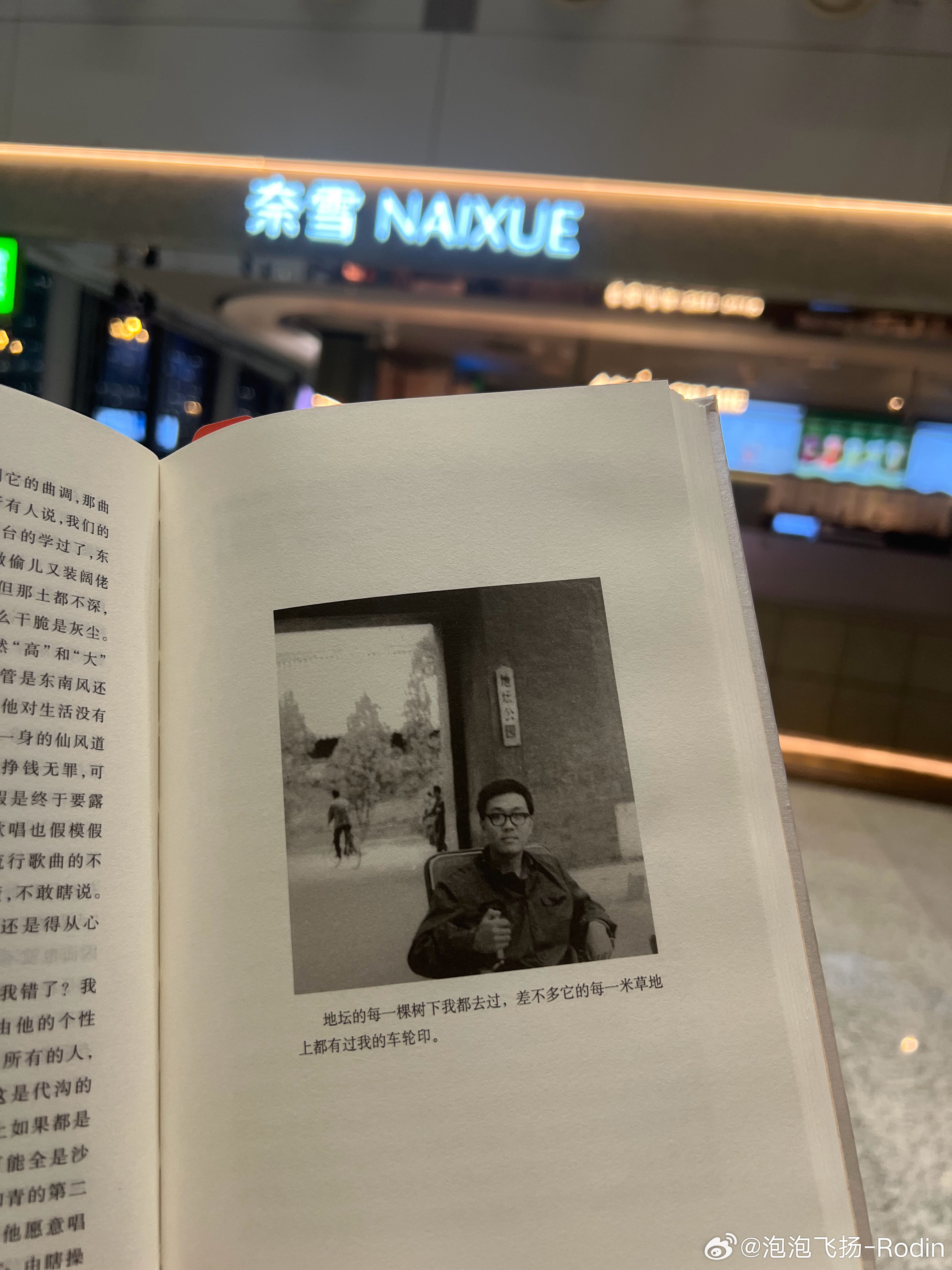 余华铁生与地坛的树，续费的生态与人生的对话