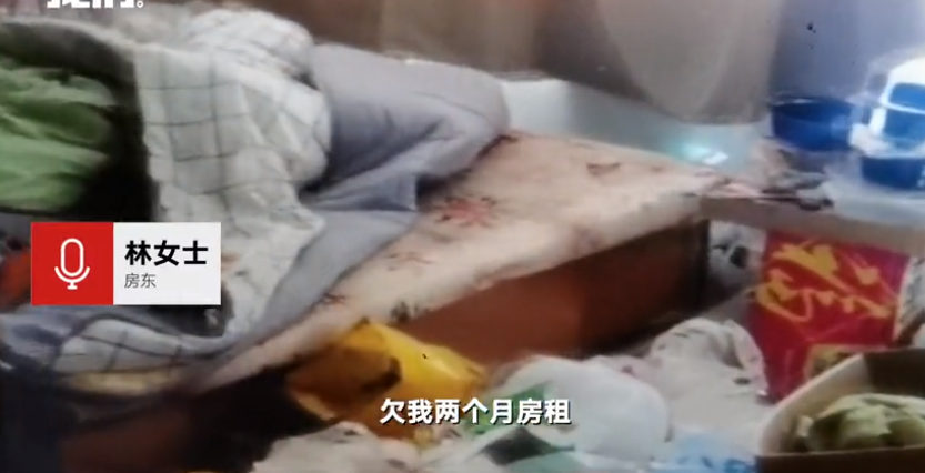 女租客欠租后失联，40平公寓变垃圾场