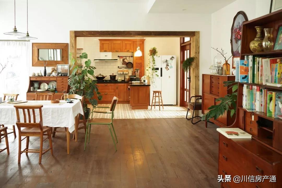 掉入火锅的小猫已离世，引发社会关注和反思