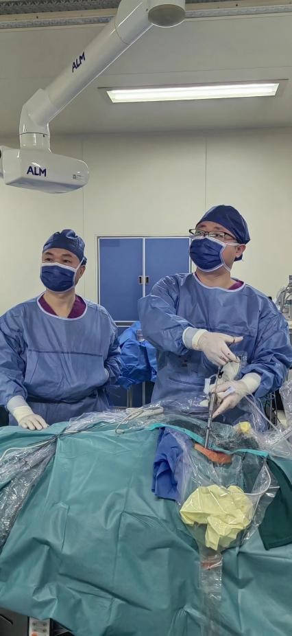 撞树锻炼会导致椎体坏死吗？解析背后的真相与风险