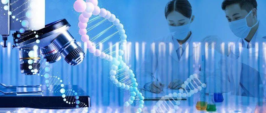 拟增加17个新职业，未来就业市场的崭新篇章