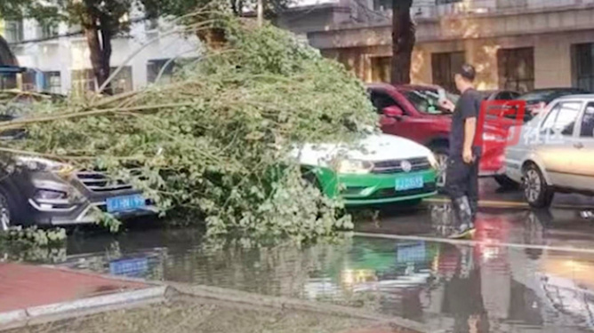 葬礼突遇狂风暴雨，墙体倒塌多人死伤——悲剧背后的警醒与思考
