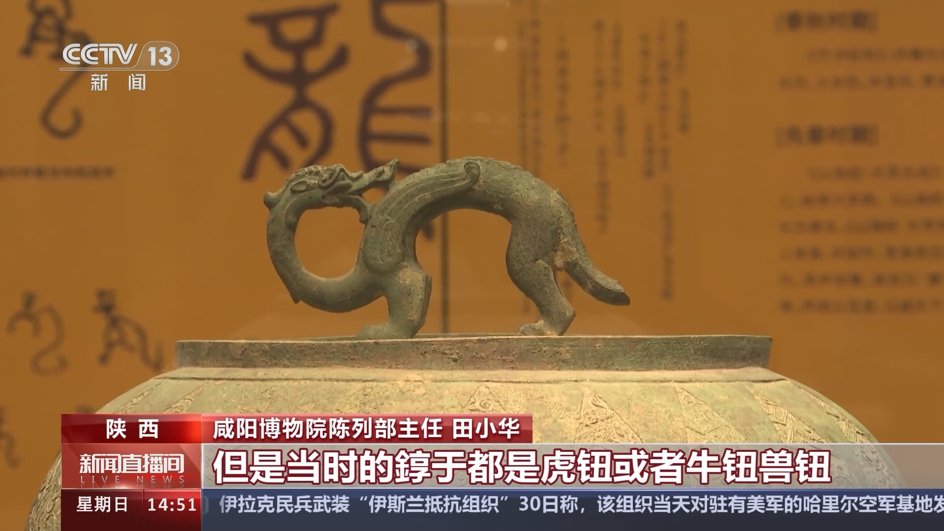 西安再现龙形不明物，探寻千年古都的神秘面纱