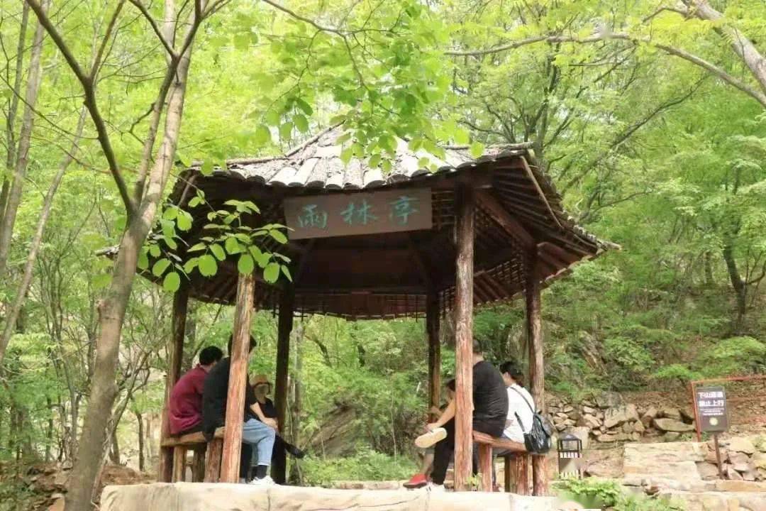 母亲节在即，全国大屏都在喊妈