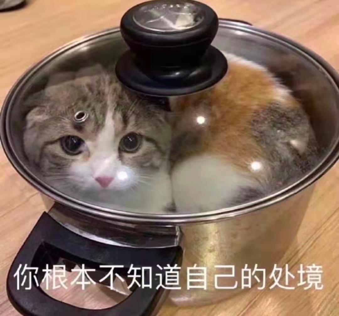 猫耳朵里的螨虫，深入了解与应对方法