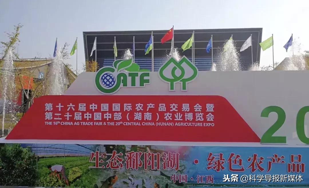高校采购风波揭秘，回应背后的真相与反思