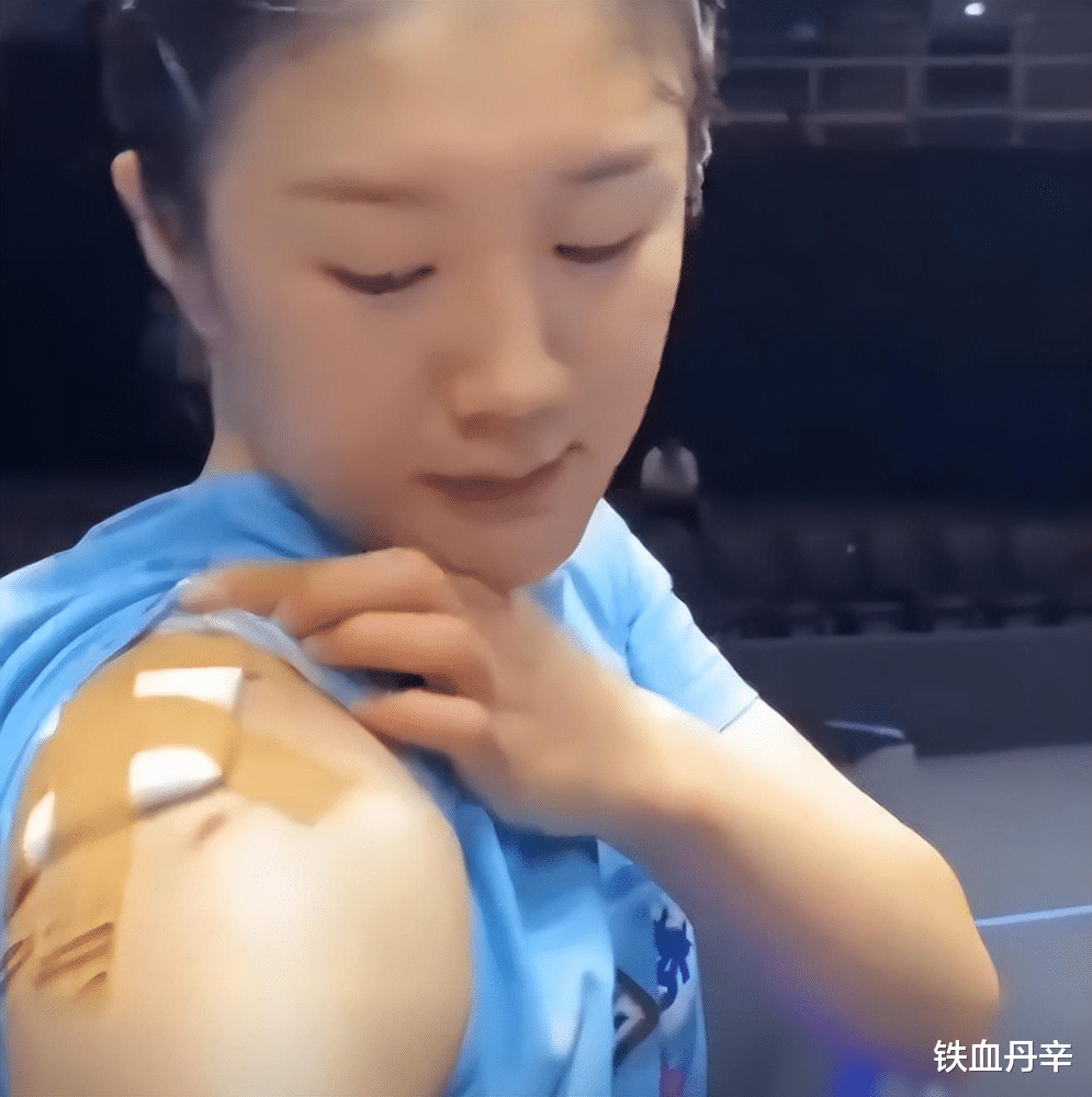 陈梦回忆因麒麟臂漏洞退赛，遗憾中的启示