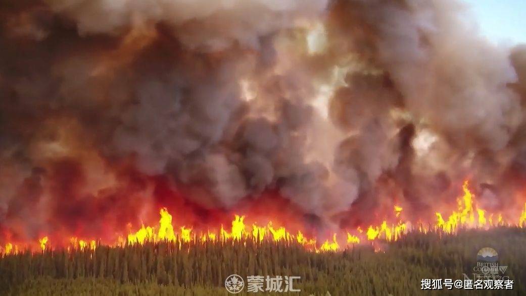 加拿大山火肆虐致两人死亡，悲剧背后的反思与应对