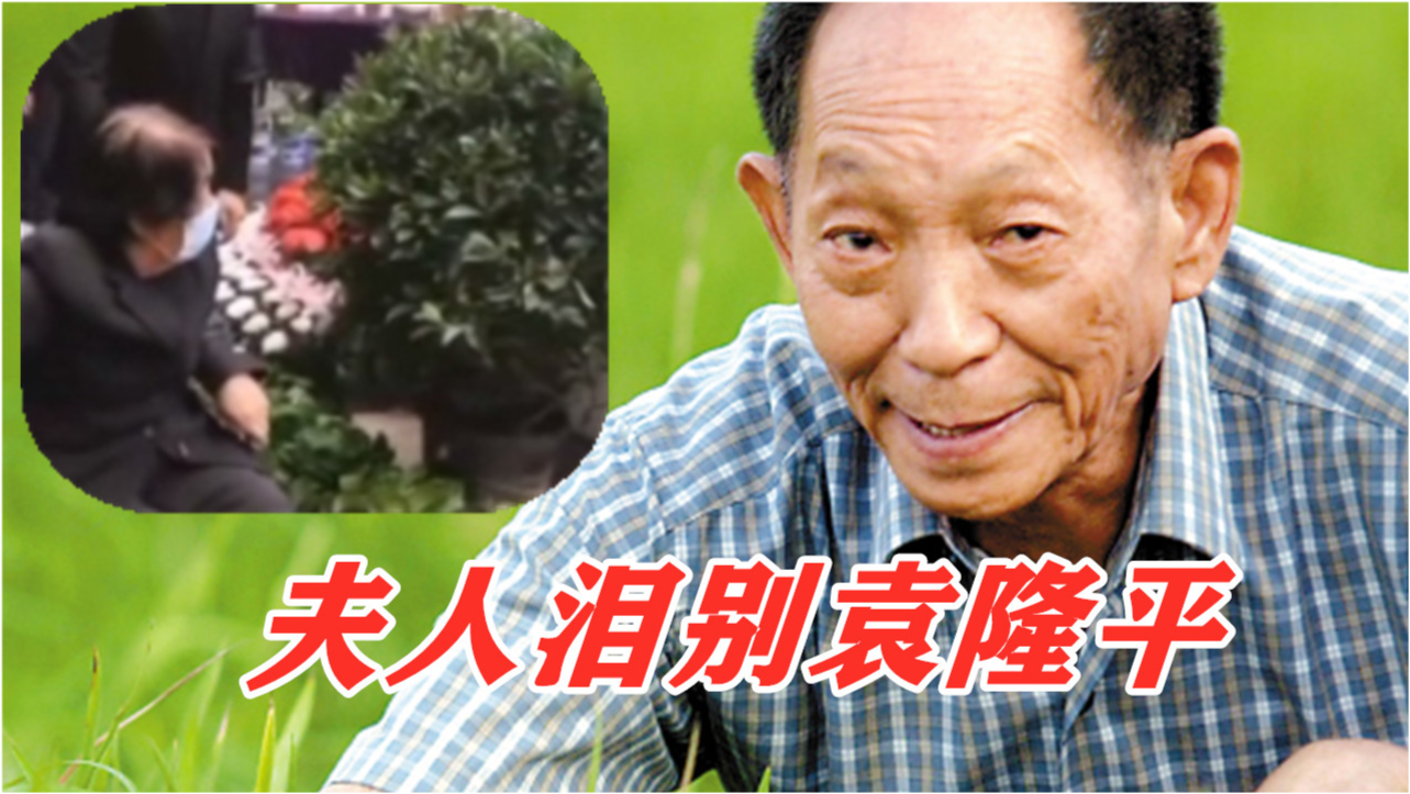 袁隆平先生的夫人，一位令人敬仰的杰出女性