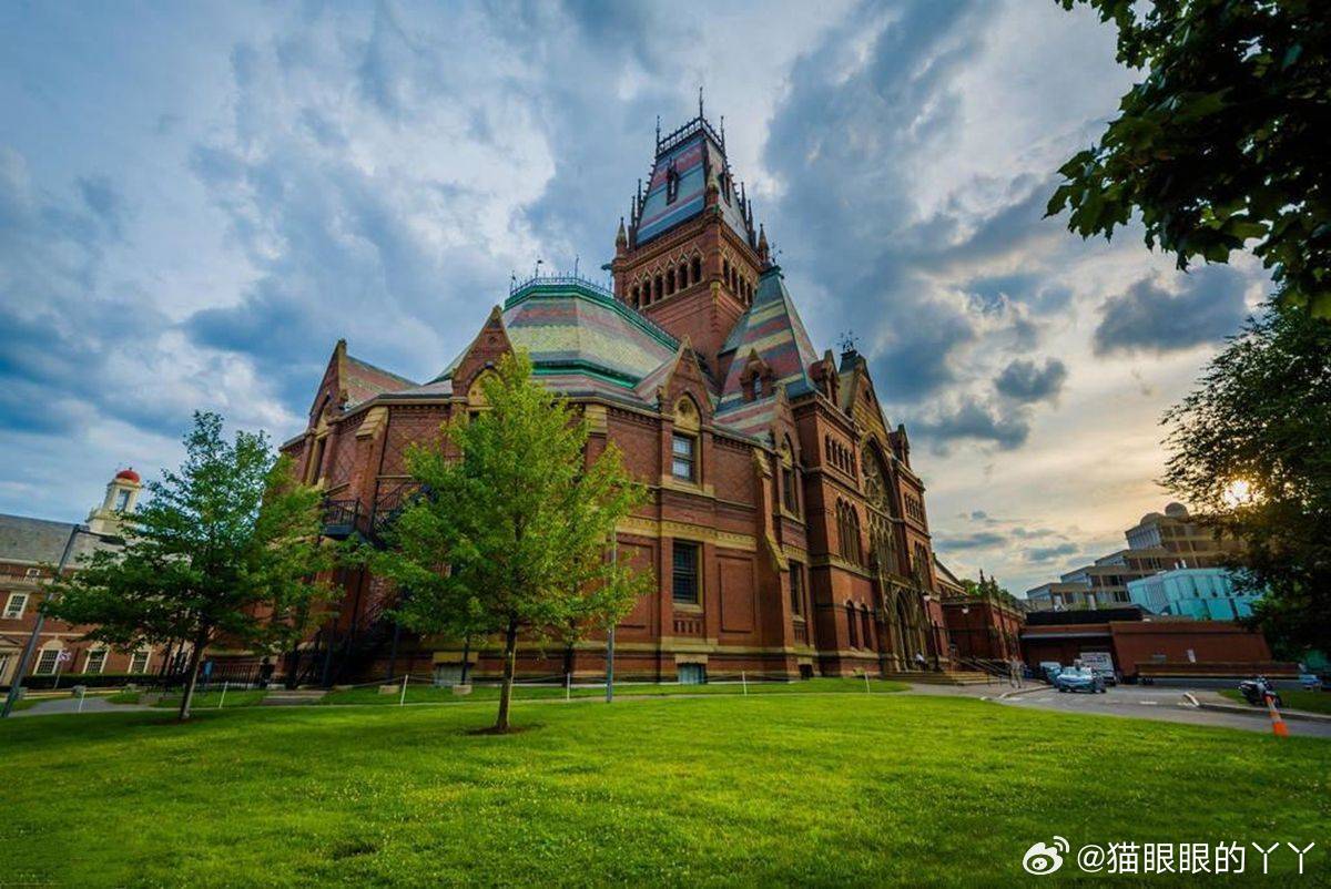 哈佛大学回应，权威之声与公众关注之间的对话