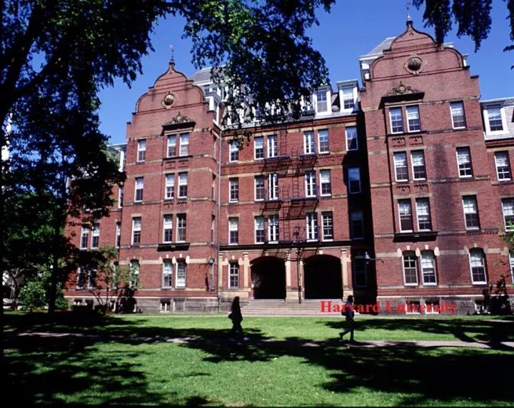 中国在哈佛留学的大学生数量解析