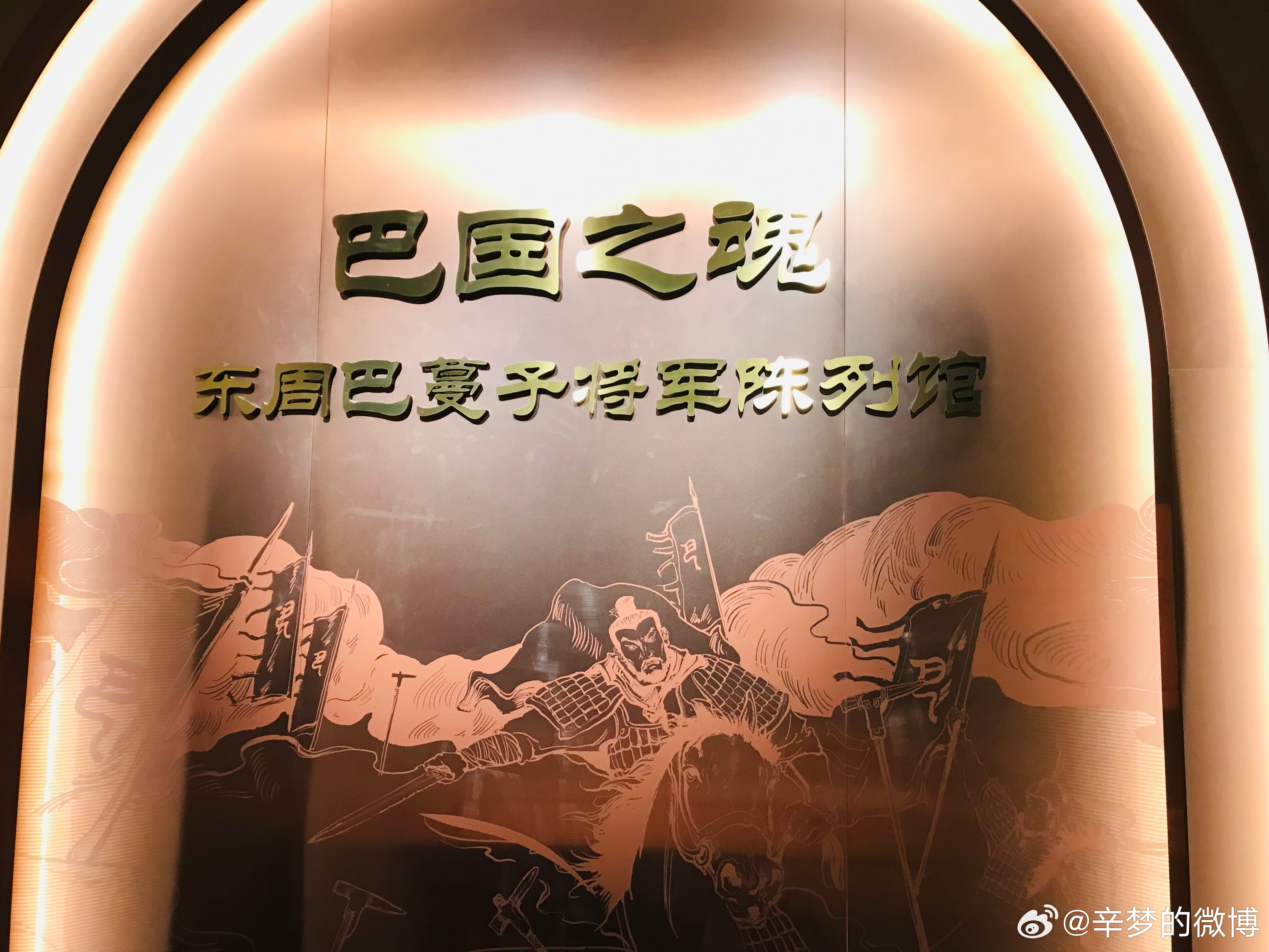 巴谋国副军级，深度解析与探讨
