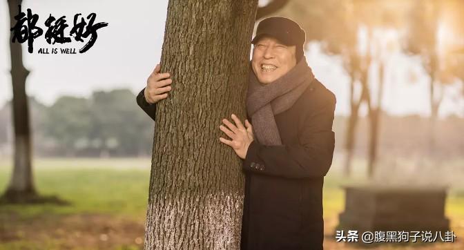 白玉兰入围名单出炉，星光熠熠，佳作云集！
