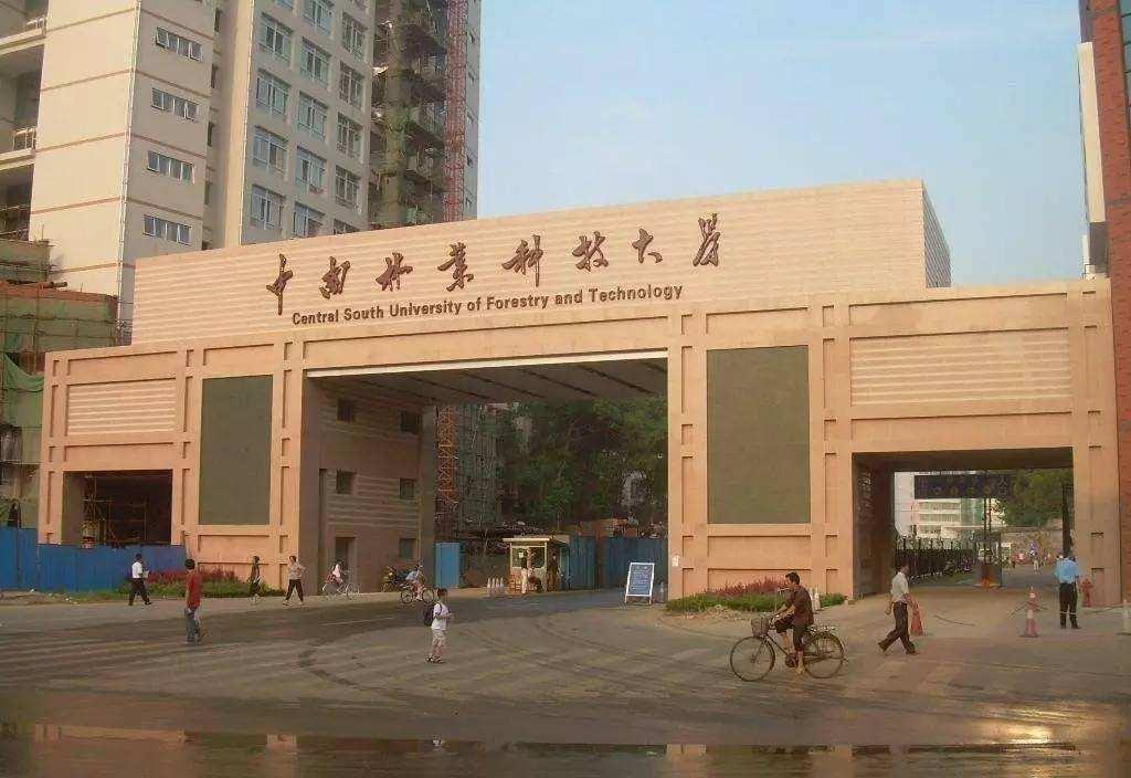 宿舍五人组，推免双一流，青春热血的奋斗篇章