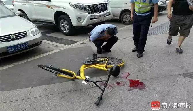 坐共享单车车篮摔死事件，悲剧背后的警示与反思