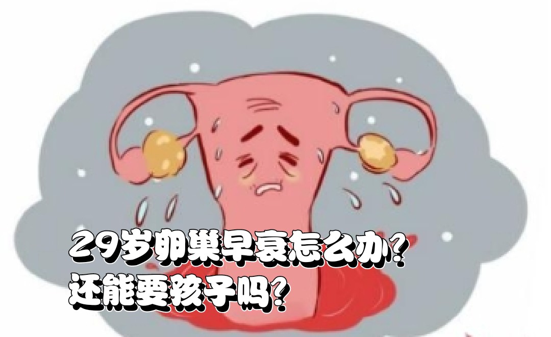 29岁女子备孕半年失败确诊卵巢早衰，遭遇与挑战