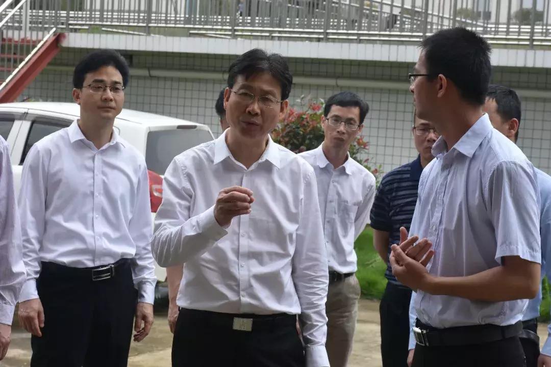 修建豪华公厕的原厅长被通报，反思与启示