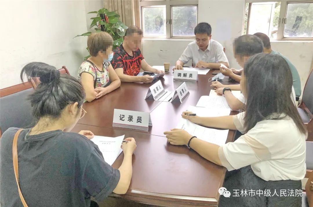 国际认可专业调解员，架起和解之桥的使者
