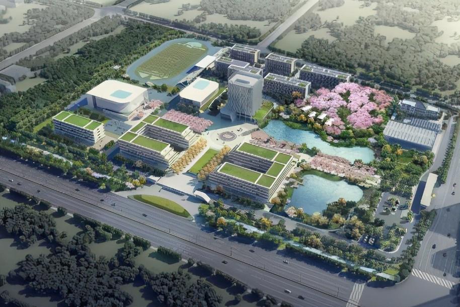 全国新建大学数量概览，蓬勃发展的教育新篇章