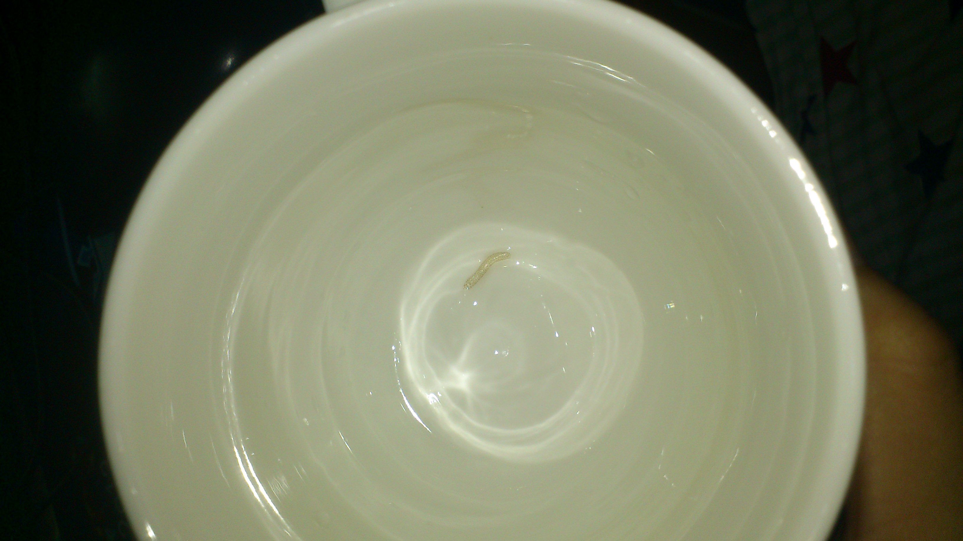 自来水中的虫子对人体有害吗？全面解读