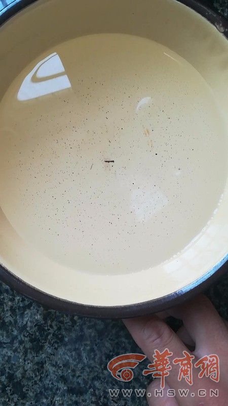 自来水中含有的虫类及其影响