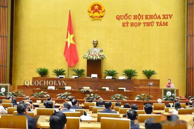 越南经济改革，取消国有制的深度探讨