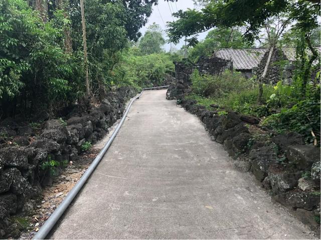 2021海口市荔枝活动，一场甜蜜盛宴的开启