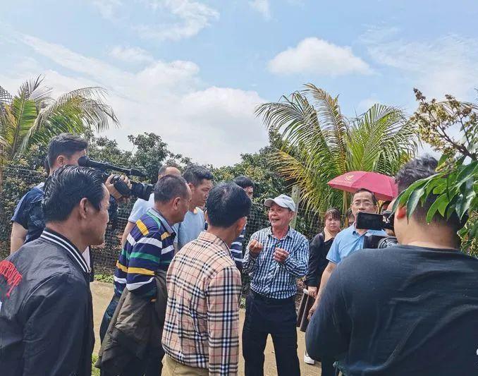 2021海口市荔枝活动，一场甜蜜盛宴的开启