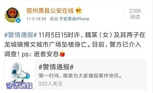 官方公布罗帅宇坠亡详情