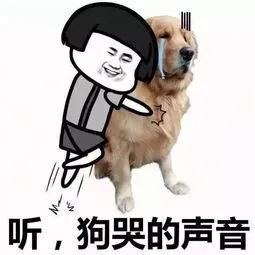 慌张的爸淡定的妈和饥饿的他