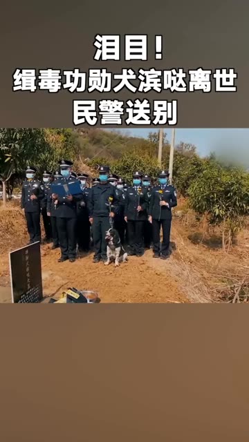缉毒警察功勋，铁血战士的荣耀时刻