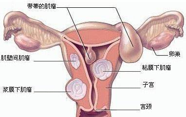 第410页
