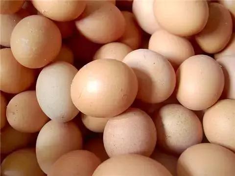 娱乐生活 第50页