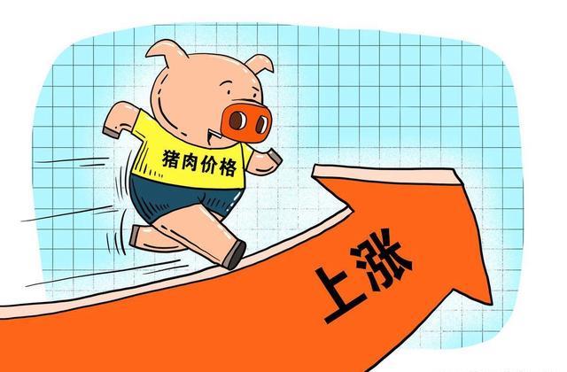 最新资讯 第48页